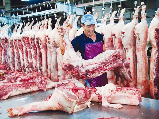 Giá lợn giảm sâu, nông dân ĐBSCL lo lắng