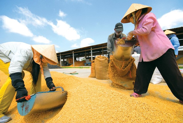 Trung Quốc muốn nhập khẩu gạo, cao su Việt Nam 