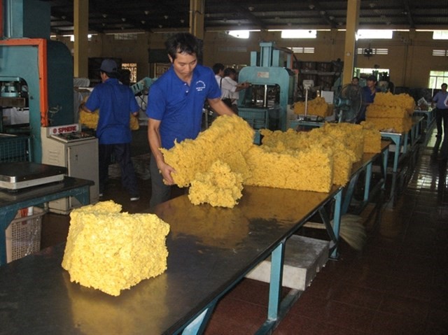7 tháng đầu năm 2015: Xuất khẩu cao su tăng 13,6%