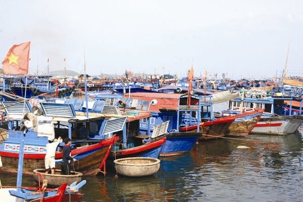 Xây dựng Trung tâm nghề cá lớn đạt 30.000 tấn/năm