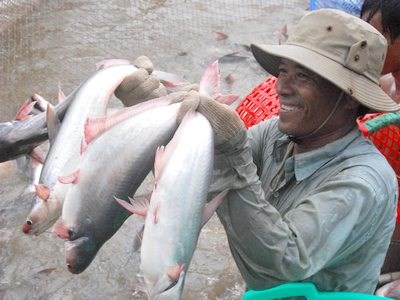 Ao nuôi cá tra Việt Nam sắp lên bản đồ Google 