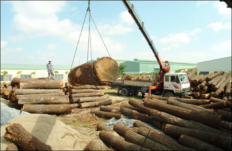 Kim ngạch xuất khẩu gỗ sang Trung Quốc đạt thặng dư 600 triệu USD/năm