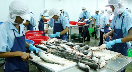 Cá tra Việt Nam bị cá rô phi Trung Quốc “vượt mặt” tại Mexico