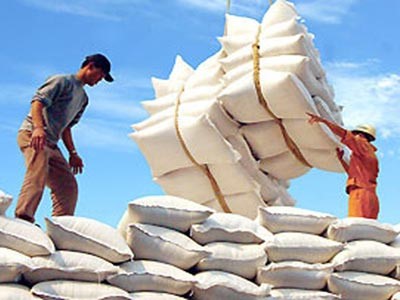 Hiệp hội lương thực: Xuất khẩu gạo sẽ khởi sắc từ quý IV