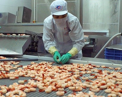 Anh vượt mặt Đức trở thành nước EU nhập khẩu tôm Việt Nam nhiều nhất 
