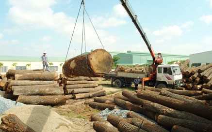 Áp lực tỷ giá, ngành gỗ cần nhiều hơn 500 triệu USD để nhập khẩu