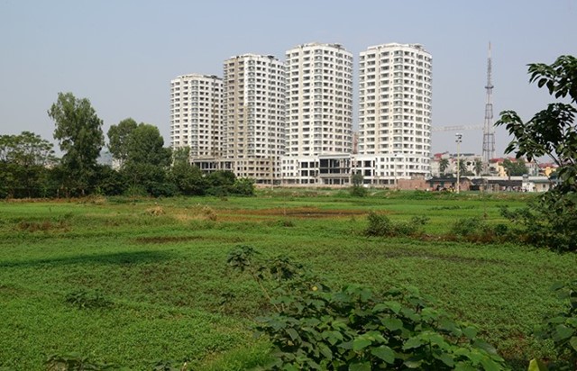 Bộ Tài chính đề xuất mở rộng miễn thuế sử dụng đất nông nghiệp 