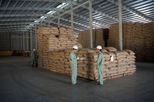 VFG phát hành 4,4 triệu cổ phiếu tăng vốn