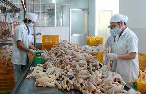 Bán thịt sang Nhật gặp khó vì… thủ tục