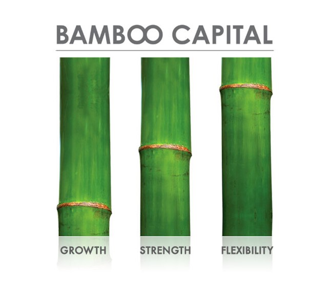 Bamboo Capital: Quá nửa Ban lãnh đạo là người cũ của SBS