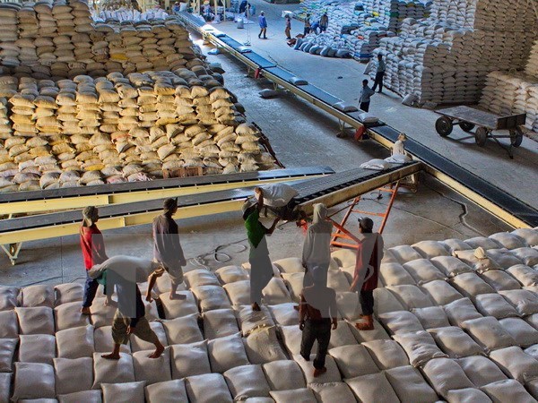 Xuất khẩu gạo tiếp tục giảm mạnh so với cùng kỳ năm 2014