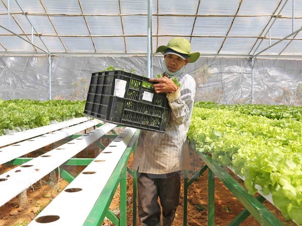 Vingroup sẽ xây Trung tâm nông nghiệp ứng dụng cao tại Quảng Ninh