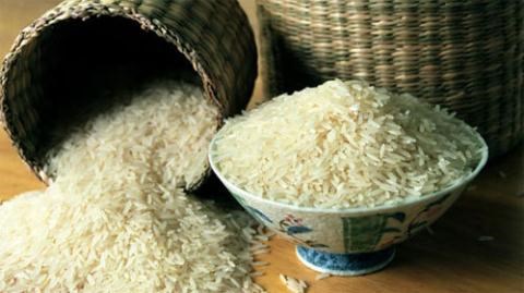 Xác minh thông tin dây chuyển sản xuất “gạo nhựa“