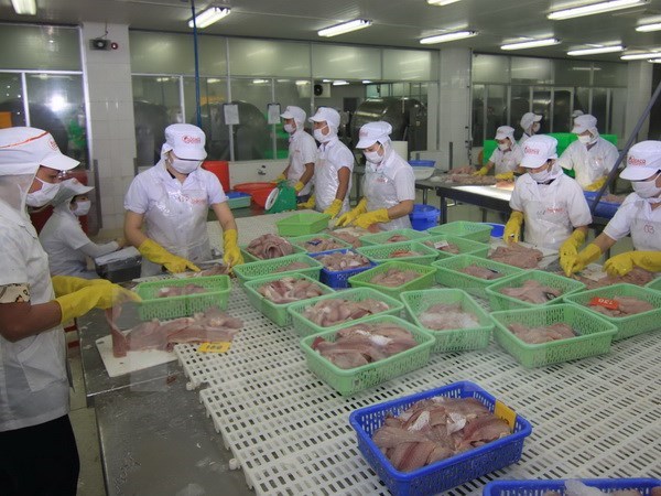 Mỹ áp quy định giám sát cá tra Việt Nam là trái nguyên tắc của WTO