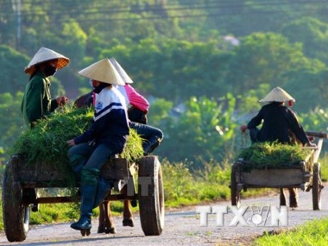 Việt Nam cần 30 tỷ USD để thực hiện Chiến lược tăng trưởng xanh