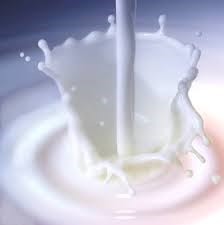 Chỉ số giá sữa toàn cầu tăng 