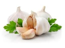 Tình hình xuất khẩu tỏi, gừng và hạt dẻ của Trung Quốc