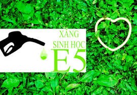 Những điều cần biết về xăng sinh học E5, liệu có thay thế được RON 92?