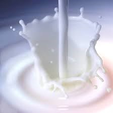 Sản lượng sữa Australia giảm