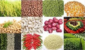Thông tin thị trường nông sản ngày 24/6
