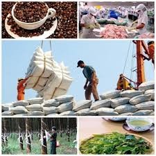 Kinh tế, tài chính, thương mại ngày 14/7