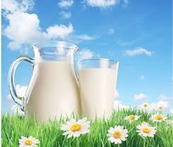Giá sữa toàn cầu diễn biến trái chiều trong phiên đấu giá mới nhất
