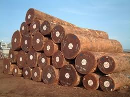 Giá nhập khẩu gỗ nguyên liệu tuần từ 10/8 – 16/8/2018