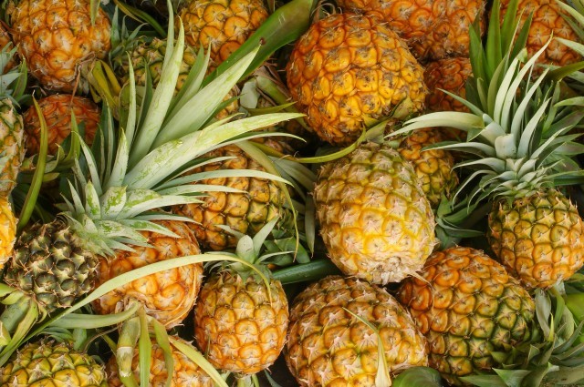 Giá dứa đã tăng trở lại