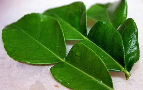 Nhu cầu tăng cao lá chanh Thái được giá, đứng ở mức cao