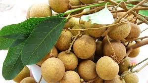 Loại trái cây thứ 4 của Việt Nam được phép xuất khẩu sang Australia 
