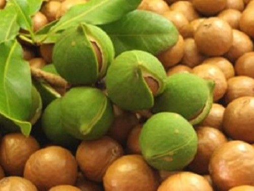 TT trái cây tuần qua: Mắc ca trái vụ được giá, dưa hấu ở mức cao kỷ lục