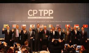 Các nước CPTPP họp phiên đầu tiên thông qua 4 quyết định quan trọng