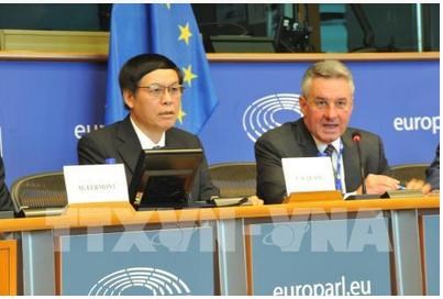 Thúc đẩy các bước tiến tới ký và phê chuẩn Hiệp định Thương mại tự do Việt Nam - EU