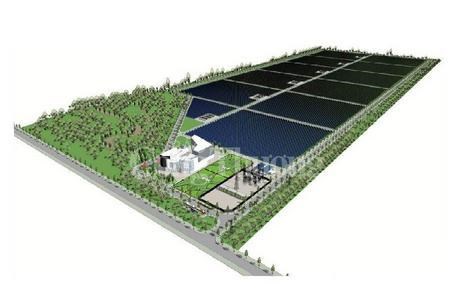 Phê duyệt bổ sung danh mục dự án Nhà máy Điện mặt trời 49,5MWp tại Quảng Bình