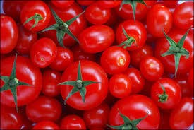 Cà chua: Giá giảm mạnh và khó tiêu thụ