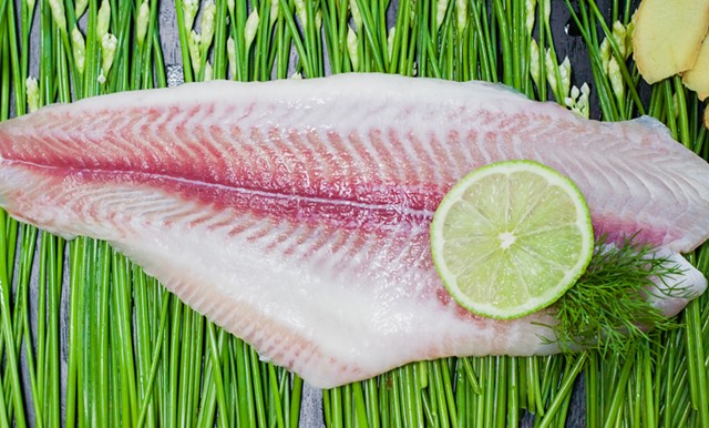 Giá cá tra bán tại Đức đạt mức cao trên 220.000 đồng/kg