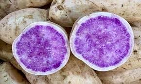 Khoai lang trắng ruột tím xuất xứ từ Australia giá gấp hơn 10 lần so với khoai Việt