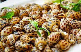 Giá ốc hương tăng trở lại 