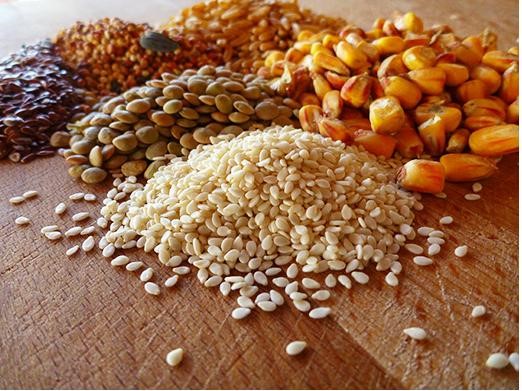 TT thức ăn chăn nuôi và nguyên liệu: Giá biến động tùy theo từng chủng loại