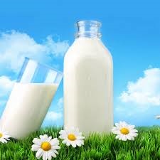 Giá sữa thế giới tăng 8 tuần liên tiếp 