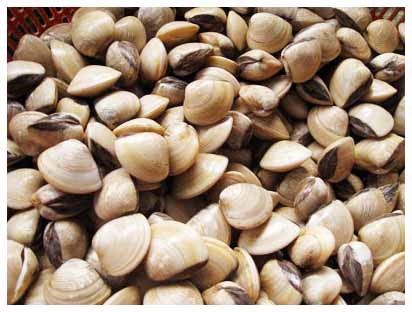 Xuất khẩu nhuyễn thể 2 mảnh vỏ tăng nhẹ