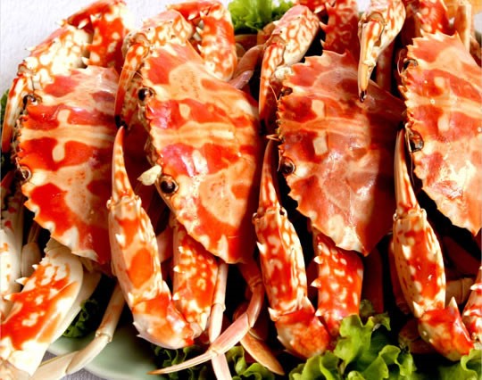 Xuất khẩu cua ghẹ Việt Nam sang thị trường Úc tăng chóng mặt