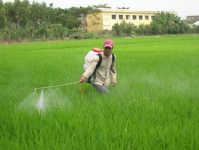 Bảy tháng, VN nhập trên 9.000 tỷ thuốc trừ sâu và nguyên liệu 