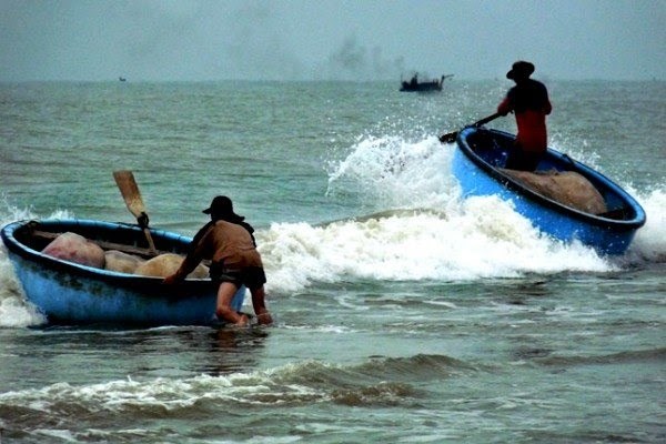 Doanh nghiệp Việt: "Cứ thích làm thuyền thúng, sao địch lại cá mập"