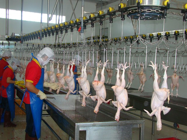 2 năm, nhập khẩu thịt từ Châu Âu vào Việt Nam tăng 70 lần