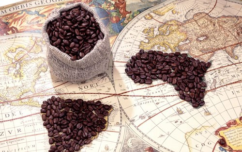 Việt Nam đứng thứ 3 về kim ngạch xuất khẩu cà phê tại Hoa Kỳ