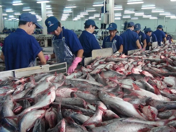 Chính phủ đồng ý sửa đổi Nghị định 36 về nuôi, chế biến và xuất khẩu cá tra 