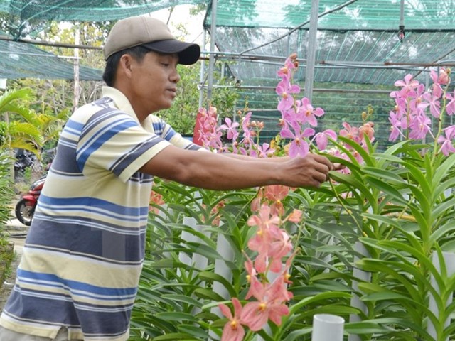 IFC thúc đẩy cung cấp tài chính cho khu vực nông nghiệp Việt Nam