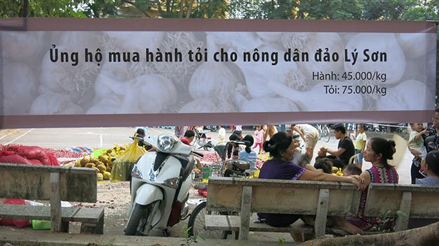 Tỏi Lý Sơn cháy hàng lấy đâu 300 tấn ế ở Hà Nội? 