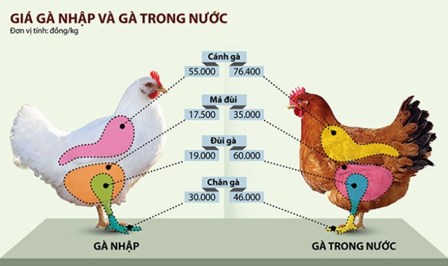 Bộ Công Thương điều tra nghi vấn gà Mỹ bán phá giá ở Việt Nam